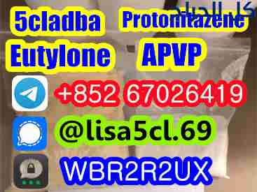China 5cl-Adb-A Research Chemicals 5cladba 99.9% P...