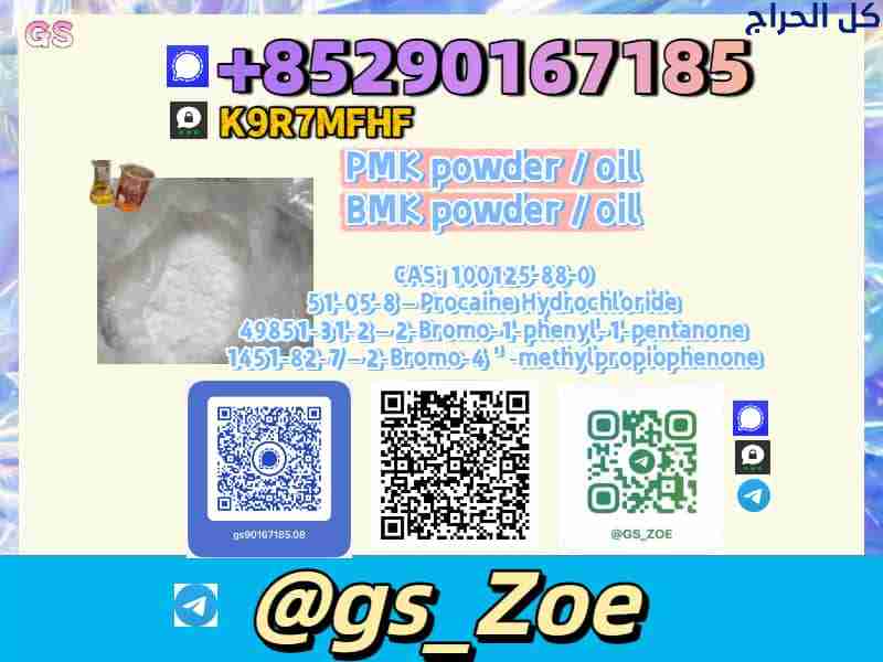 Order new B M K C A S 1451-82-7 From Verified Chin...