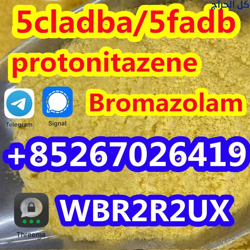 Cas 71368-80-4 Bromazolam